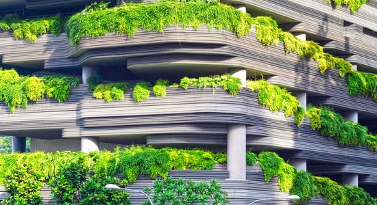 Eco firiendly architecture